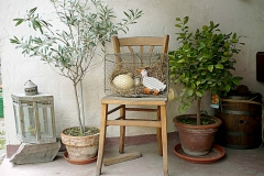 hof_patio-07